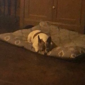 Meet your Posher, Carolyn